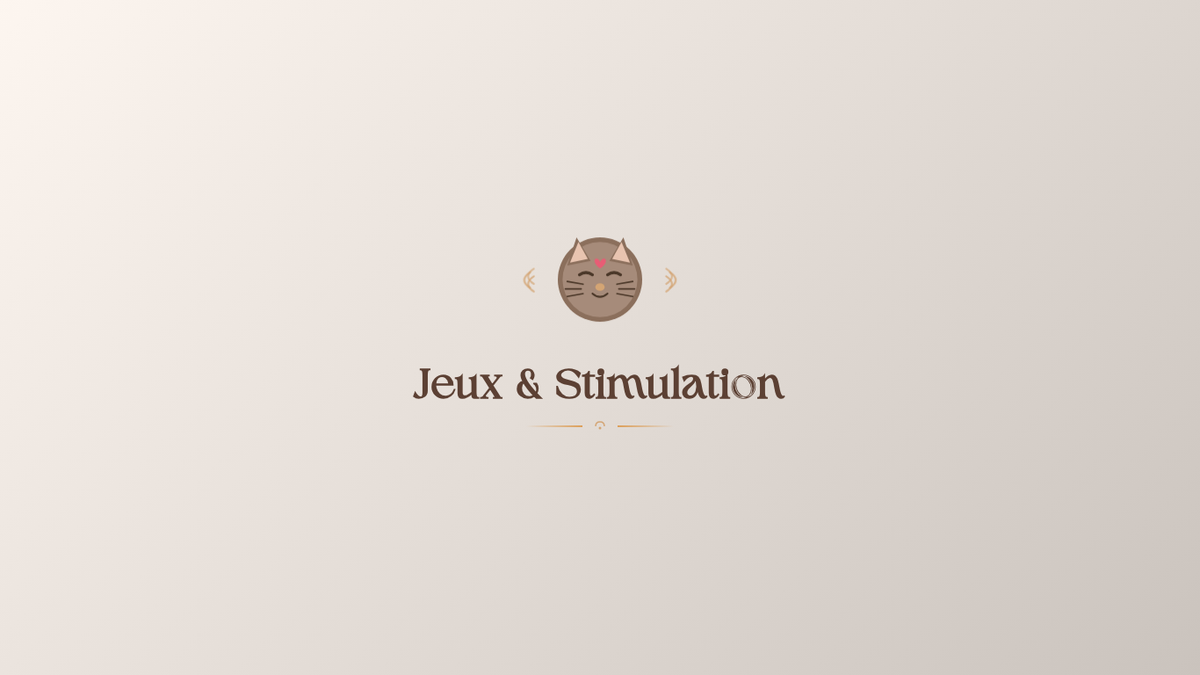 🧸 Jeux & Stimulation