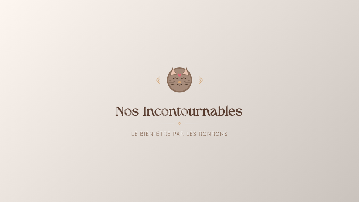 ✨ Nos incontournables