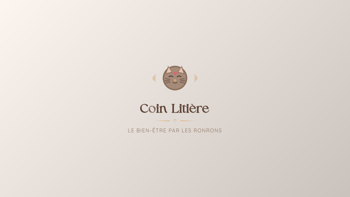 🏡 Coin Litière