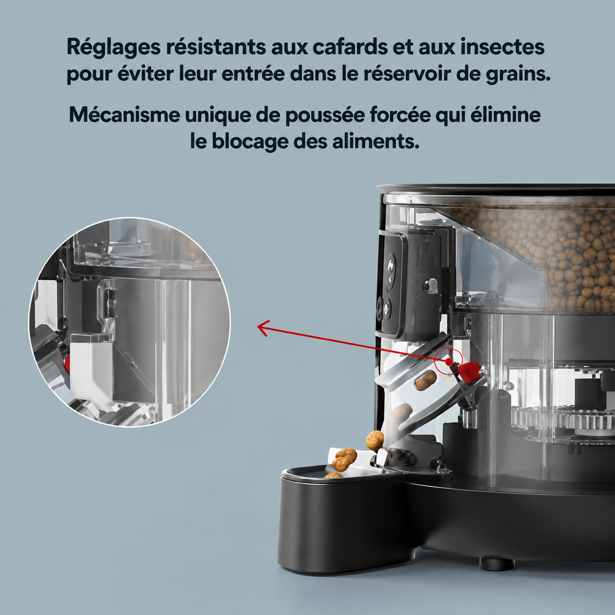 Le Croq’Heure – Distributeur automatique 4 L