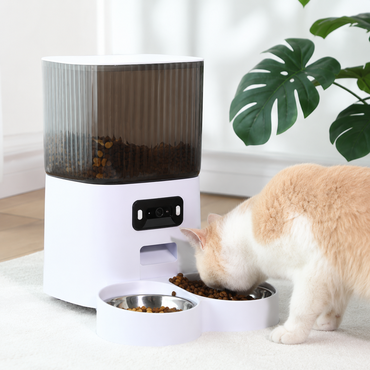 Le Croq’Œil - Distributeur connecté avec caméra 3,5 L