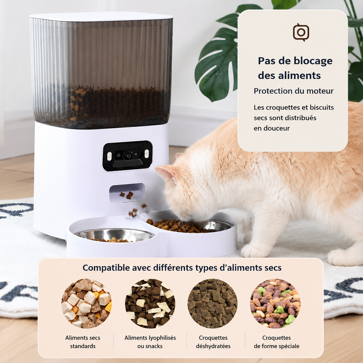Le Croq’Œil - Distributeur connecté avec caméra 3,5 L