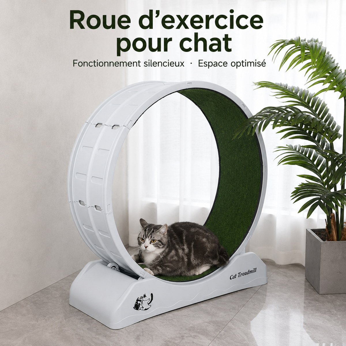 Le Ronron’Run – Roue d’exercice pour chat