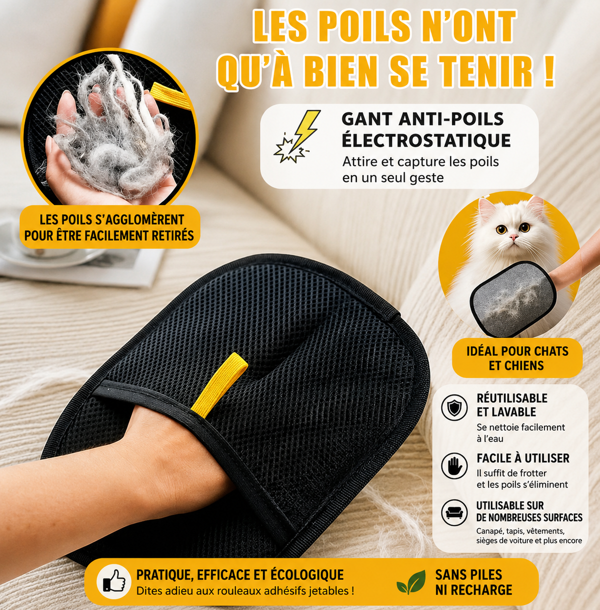Le Passe-Patte – Gant anti-poils électrostatique