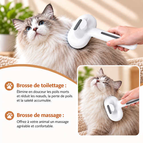 Brosse Vapeur Autonettoyante 3-en-1