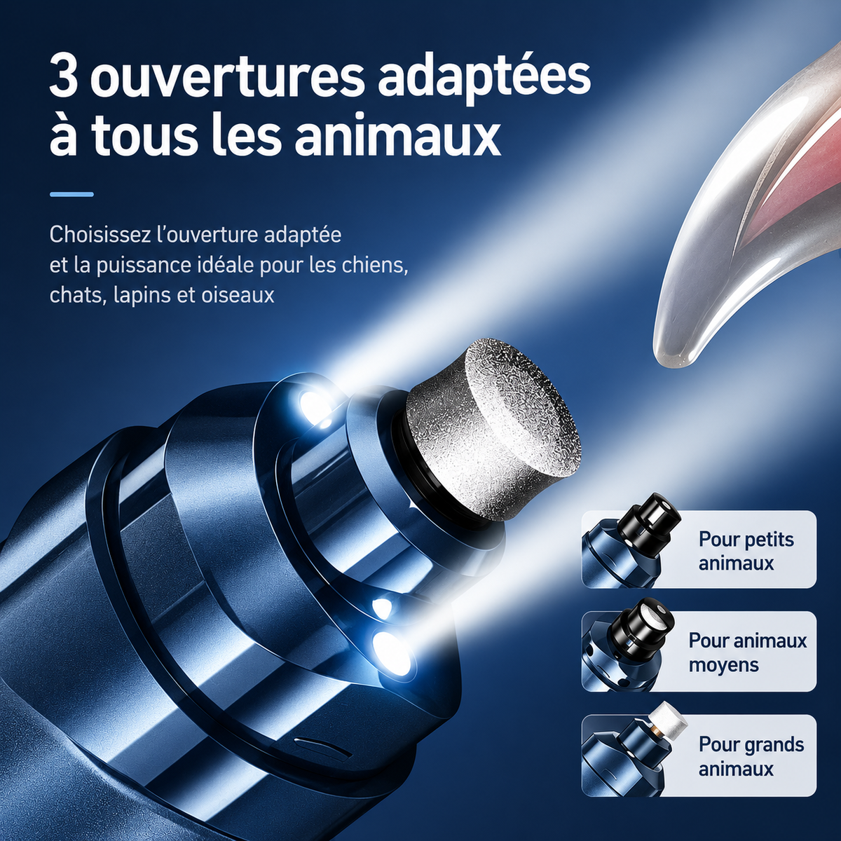 Griff’Douce – Lime électrique pour griffes de chat
