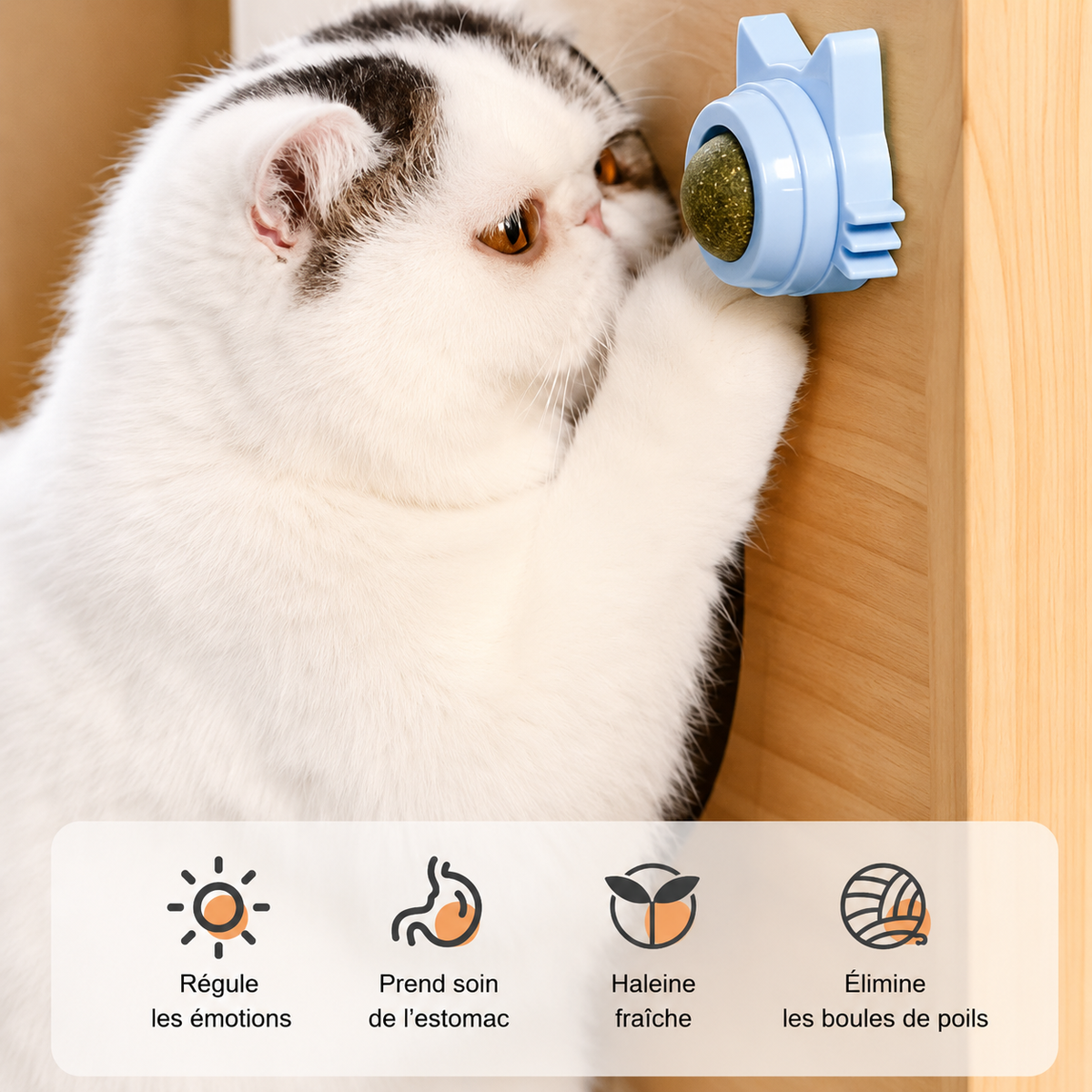 Le Léchat – Balle à lécher à la cataire pour chat