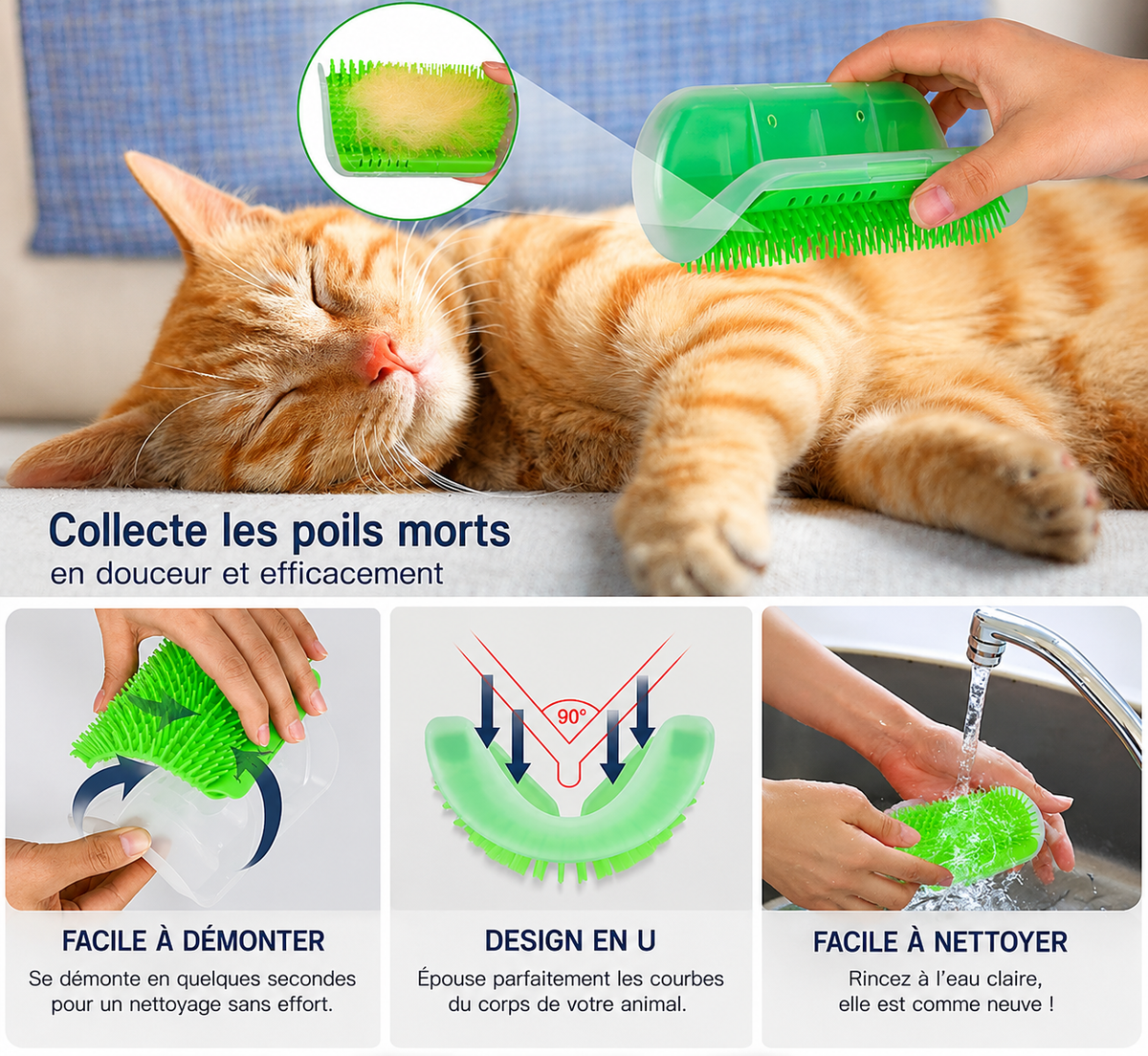 RonronMur – Brosse murale auto-massage