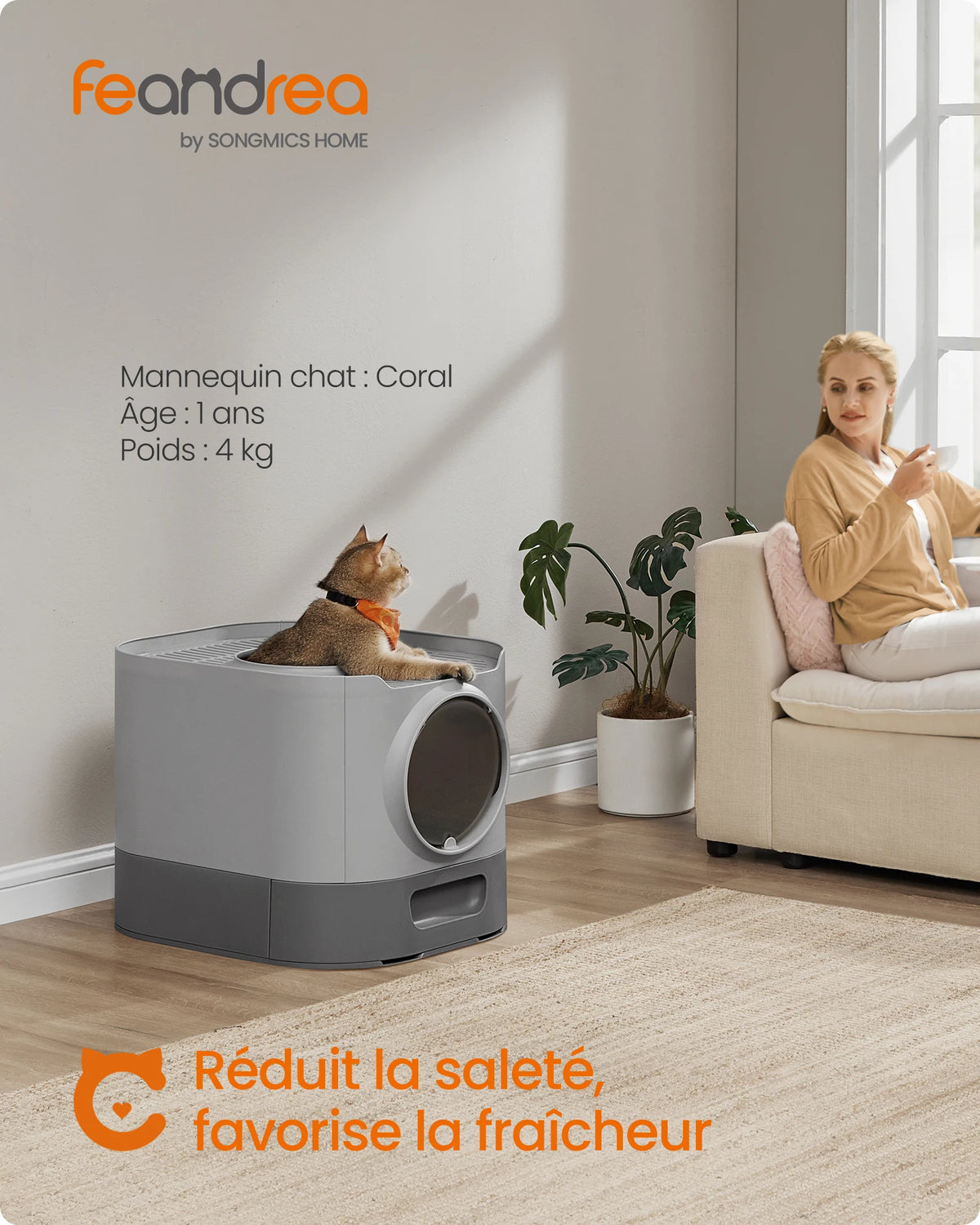 Le Refuge des Ronrons – Un espace paisible pour votre compagnon