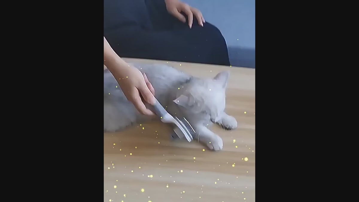 Le CâliBrush - Brosse de toilettage